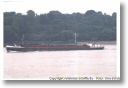 DETTMER TANK 89 am 27.06.1999 auf der Elbe bei Hamburg 